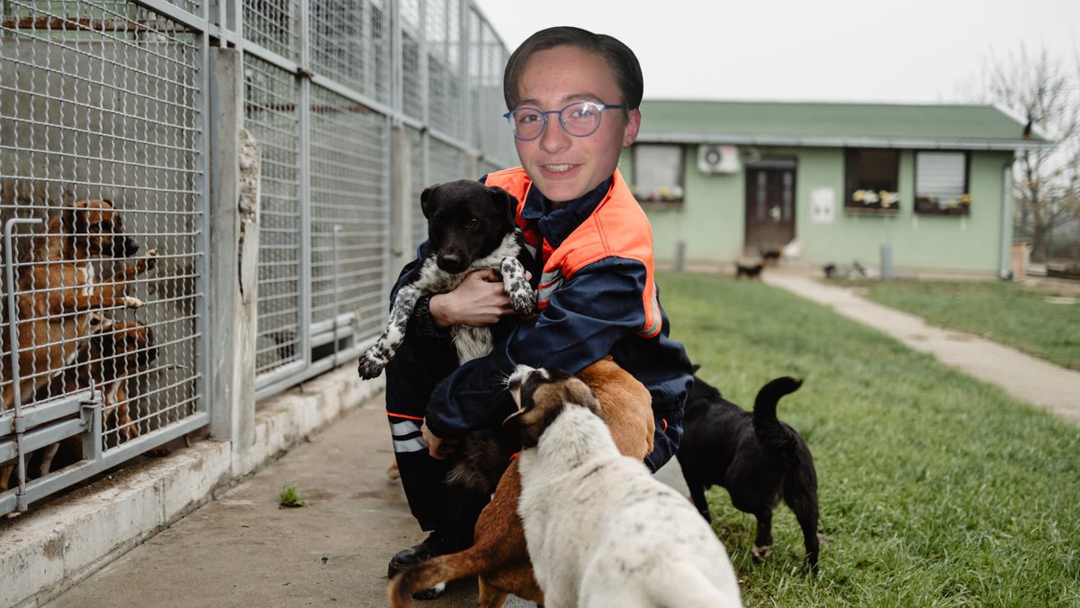 Stef volunteering at a dog shelter